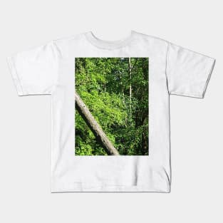 Greenbelt Fall Near the City Kids T-Shirt